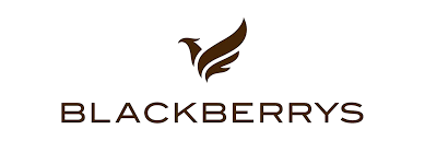 Blackberry logo
